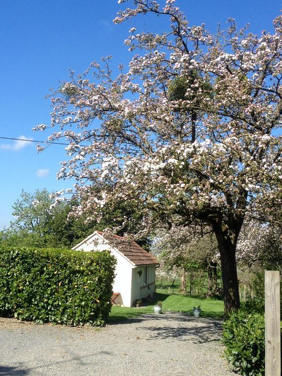La Boulangerie Villa Romagny ภายนอก รูปภาพ